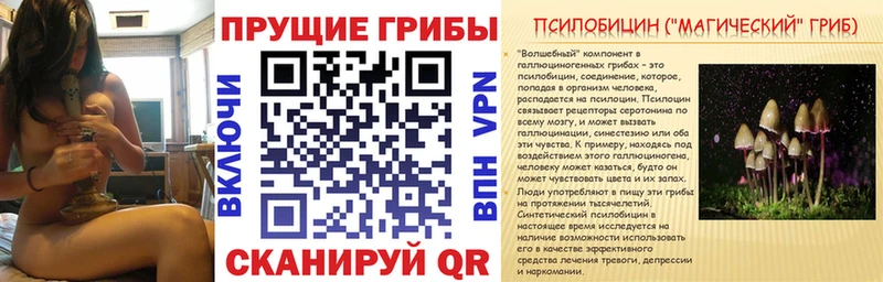 Галлюциногенные грибы MAGIC MUSHROOMS  Шахунья 